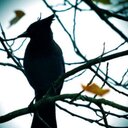 David Darr - @dsdarr - Twitter