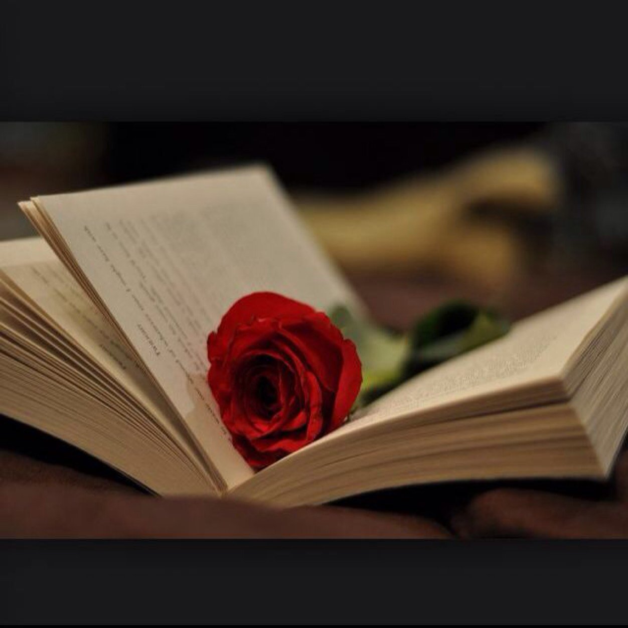 NorahCS's profile picture. lecturer at Taibah University. Computer Science & Engineering college.