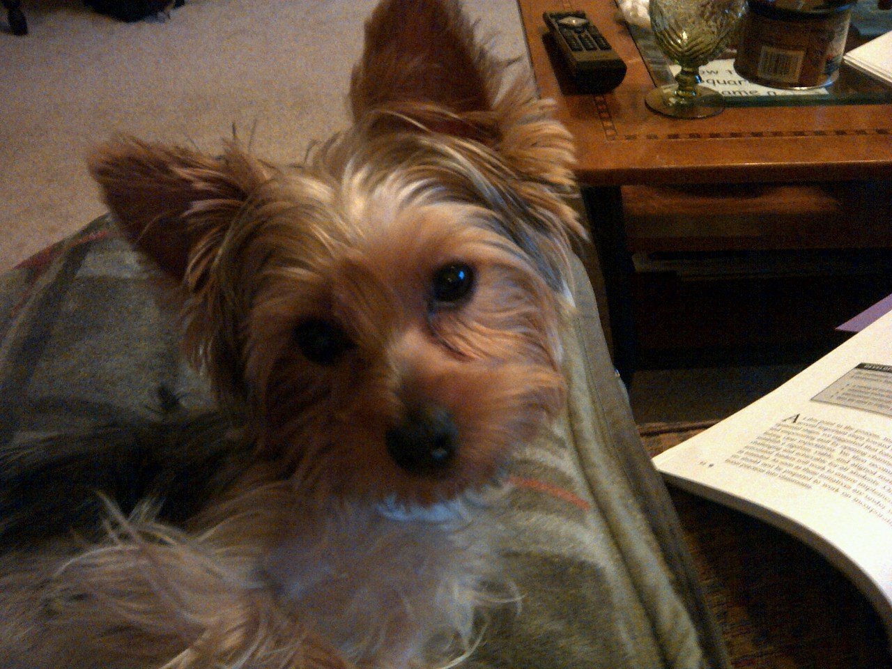 RockyBrewton's profile picture. 