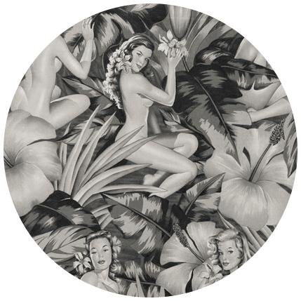 algebramusic's profile picture. Music reviews and interviews in one tweet, sprinkled with conceptual algebra.