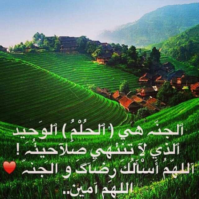 Mahammmad4's profile picture. يّا ربّ ﻟ̐ڳ ﭑﻟ̲حمَد گمآ ﯾ̲̃نبغي ﻟ̐جلاّل وجَهّك ۆ عظٌيّم سٌلطّانڳ ..