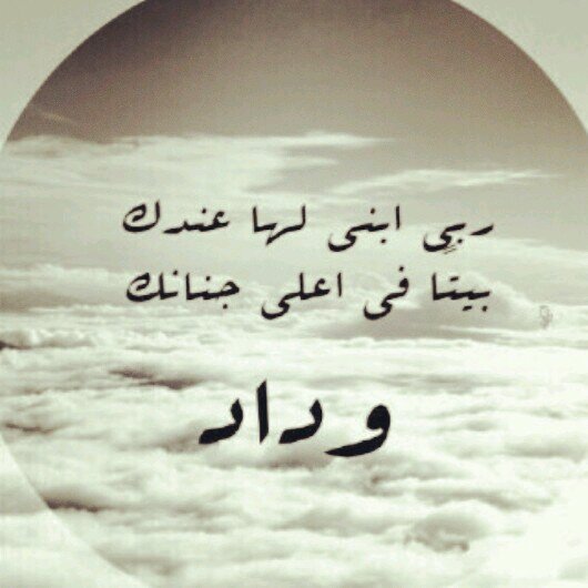 aisha_11z's profile picture. يارب رضاك والجنه ♡