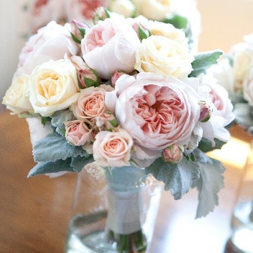 Santa Barbara, CA wedding & lifestyle photographer