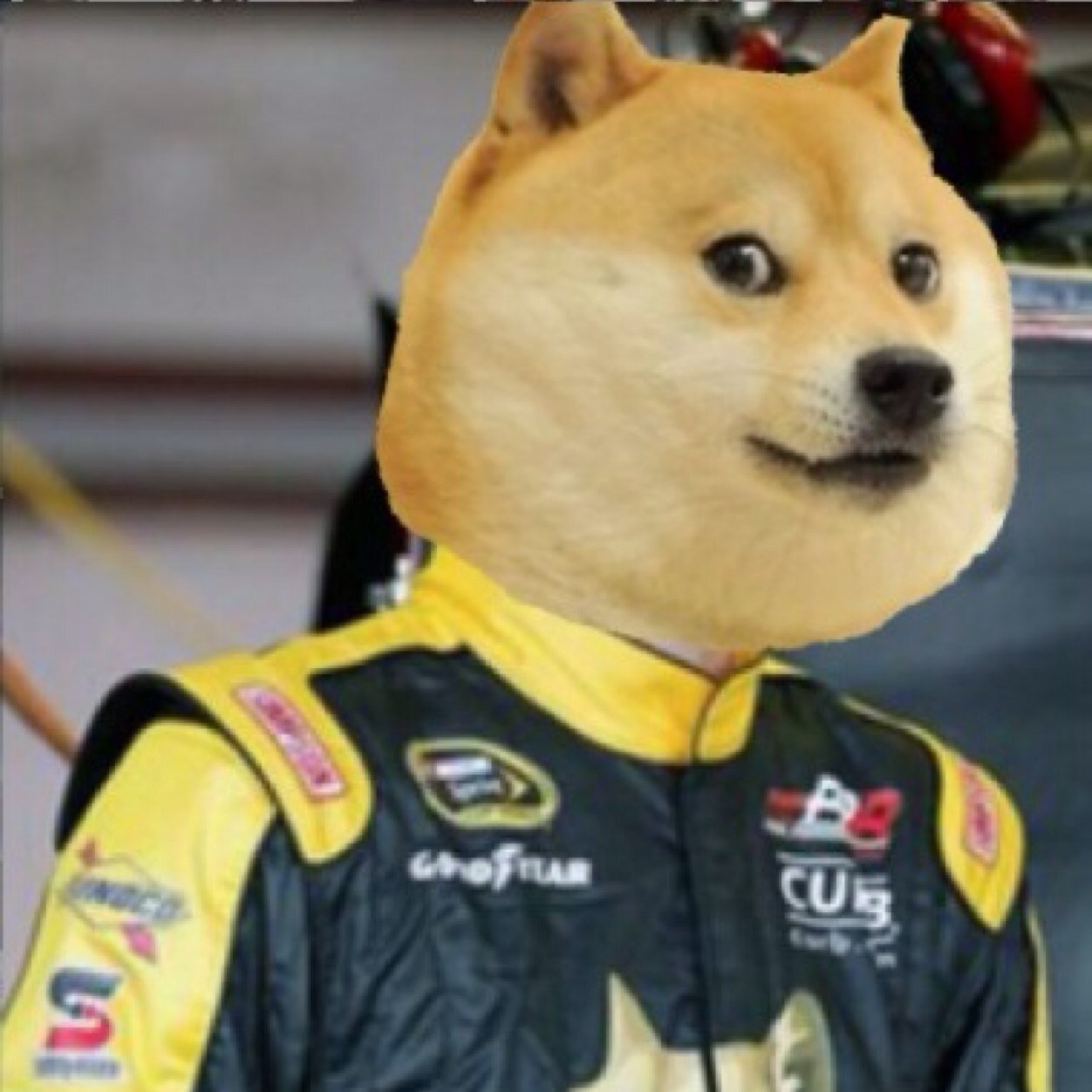 many doge
                         such nascar
less downforce
                         more dogeforce
very woof
                         wow