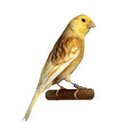 صلاح شداد (@01011443290za) Twitter