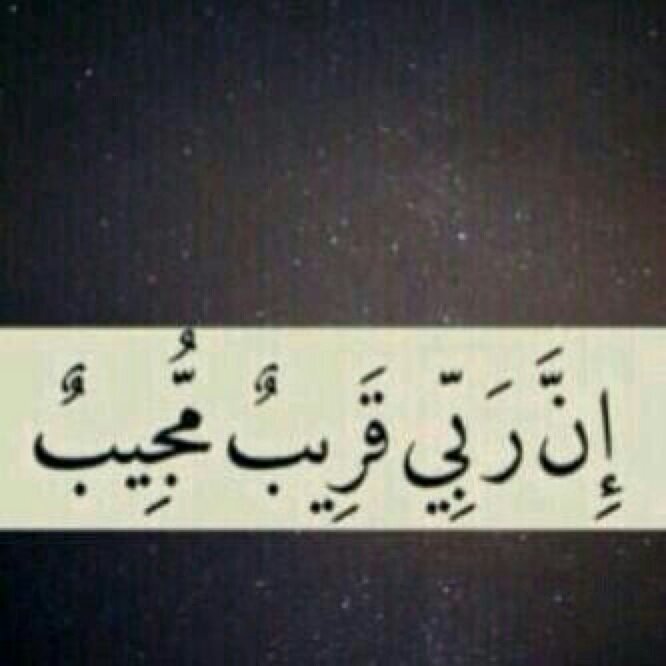 201416No's profile picture. ‏حسبي الله ونعم الوكيل.       تم الحذف لوجه الله