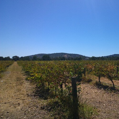 oolala69's profile picture. 