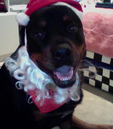 PaxR's profile picture. 