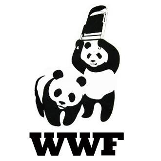 WWE 24/7 and writing. 
Also, PS4 but I get in trouble for playing for too long.