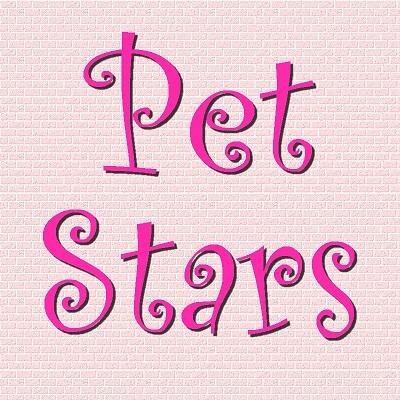 PetStarsPy's profile picture. Nuevas ideas para su mascota: Accesorios y premios en la tienda online. Además los remedios naturales del Paraguay