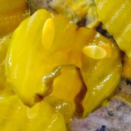 iamsourpickle's profile picture. One pickle goes where no pickle has dared to go before––a world of sour food and bitter facial expressions.