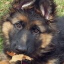 parker grubb - @grubb_parker - Twitter