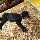 Jeff Pack - @bert989 - Twitter