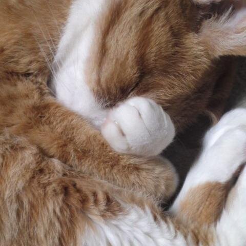 AndyMy219's profile picture. 