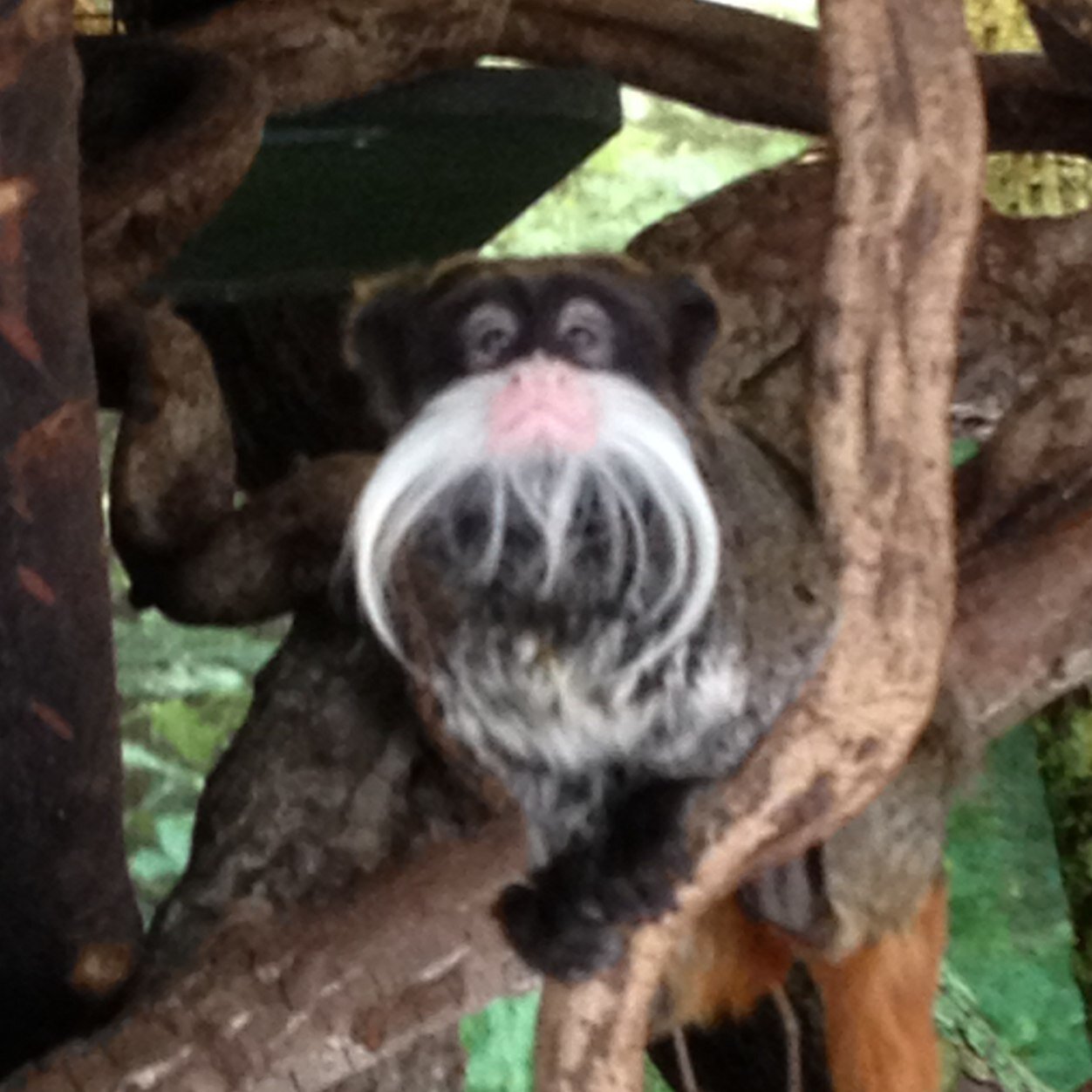 Schwaab90's profile picture. 