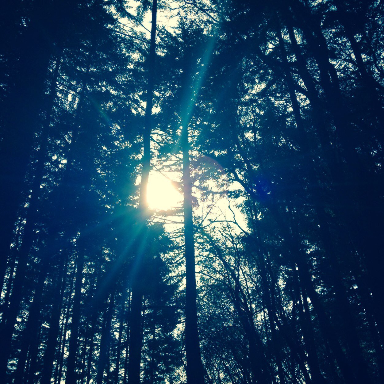 booplankford76's profile picture. 