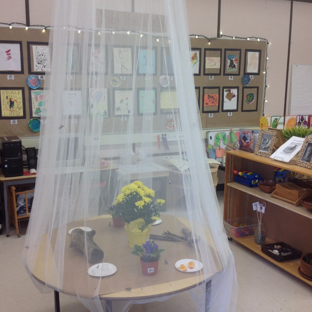 FDK Educator with PDSB @SIBpeel ... looking to inspire and be inspired! Follow @vsilva_k