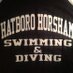 Hatters Swimming (@hattersswimteam) Twitter profile photo
