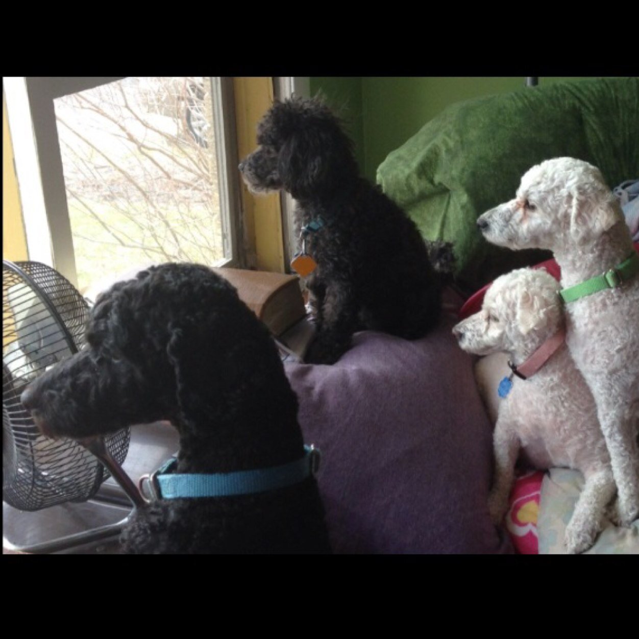 PamVolk's profile picture. Married since '77, Mom of 5 Kids, & 9 Grandkids. Loves singing, music, & arts & crafts of ALL kinds! Christian, Loves Jesus & strives daily to live His Gospel.