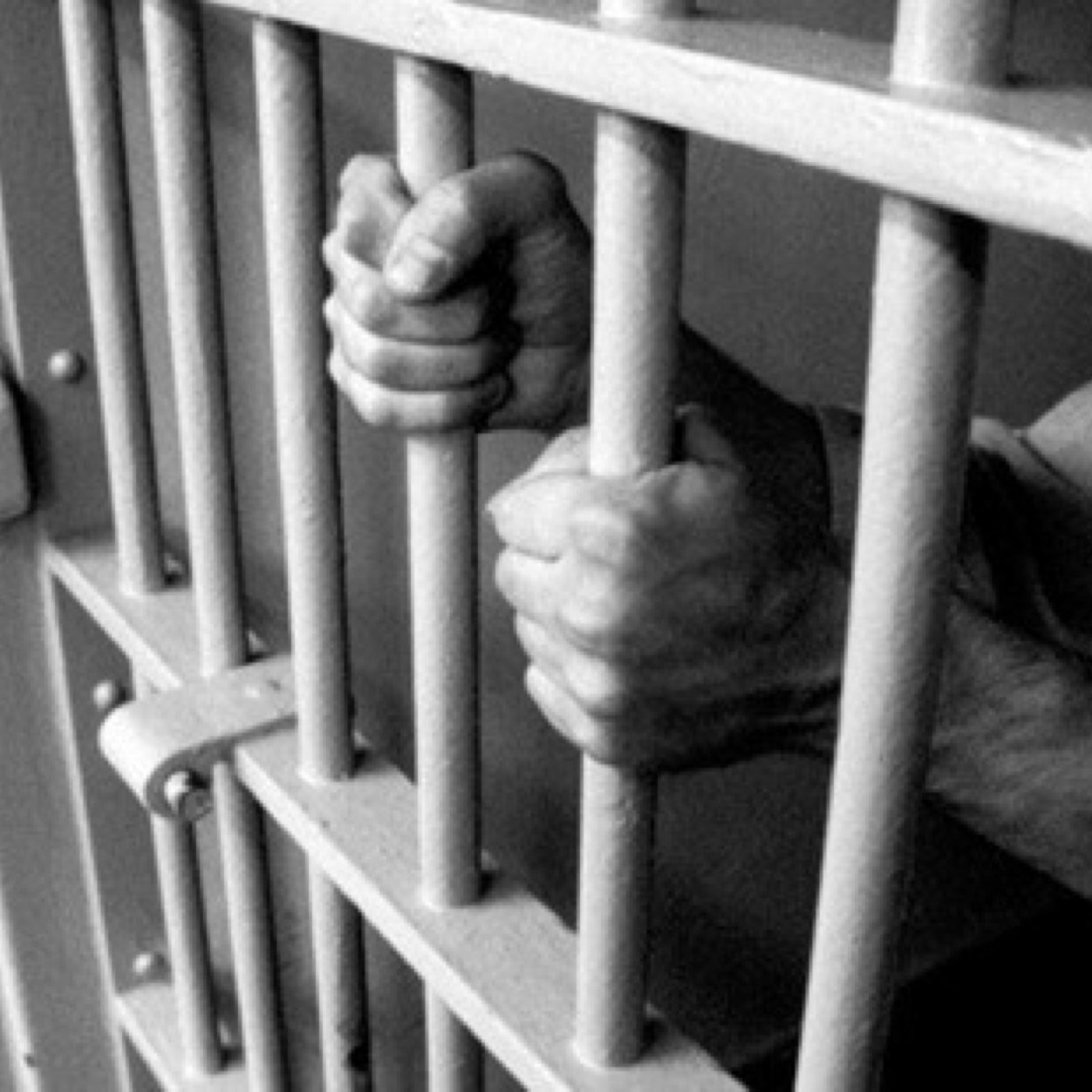 What happens when celebrities are sent to prison? Come join us to find out.