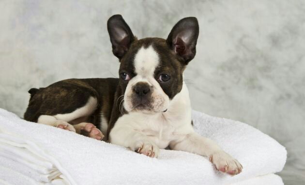 veroag78's profile picture. 