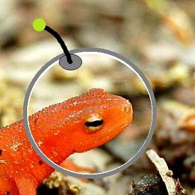 NewtAstro's profile picture. Video games, food, gym, space exploration, the usual.