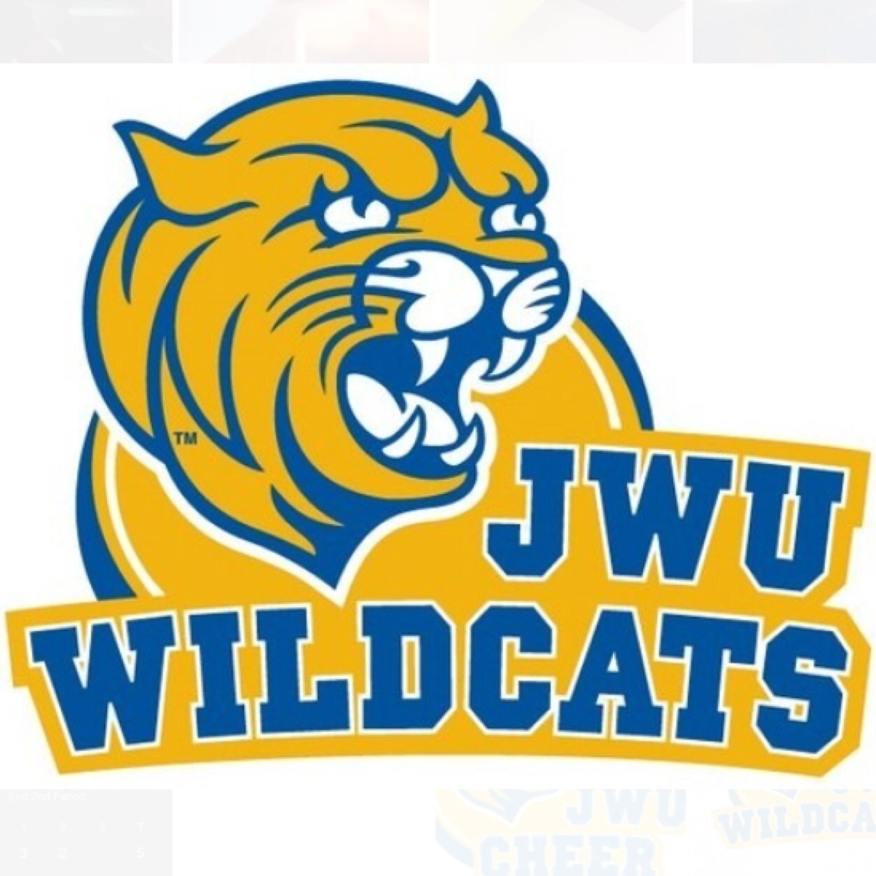 Official Twitter page of the Johnson & Wales University, 5 time GNAC division championship cheerleaders!