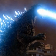 MattSutton71's profile picture. 