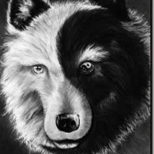 THE_NATIVE69's profile picture. A Native with a Shotgun...and a Hammer