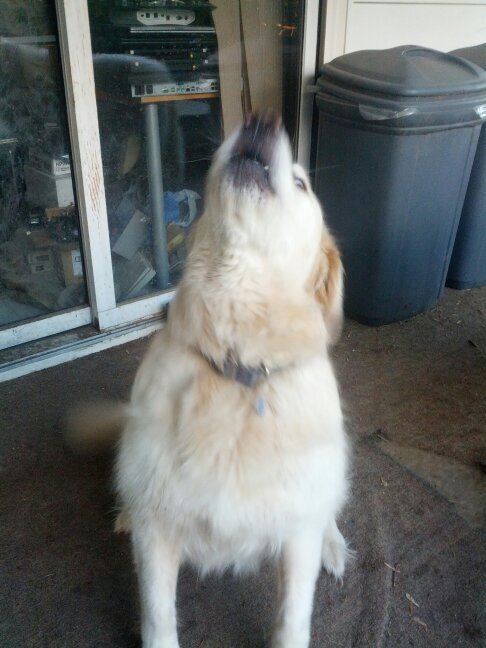 RobinSeaborn's profile picture. Computer geek, network consultant, and wireless wizard. Yes I can make your WiFi work better.