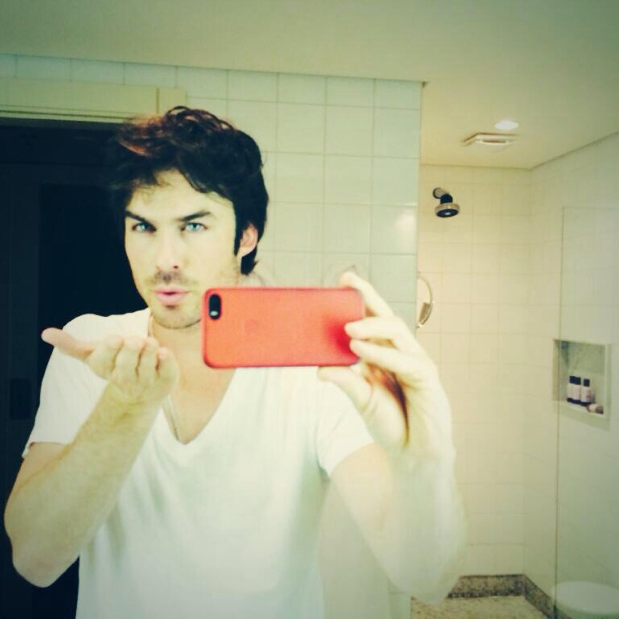 IWatchALotOkay's profile picture. American Horror Story. The Vampire Diaries. The Originals. True Blood. Reign. Glee.