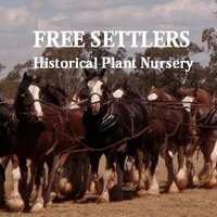 Free Settlers (@FreeSettlers) 's Twitter Profile Photo