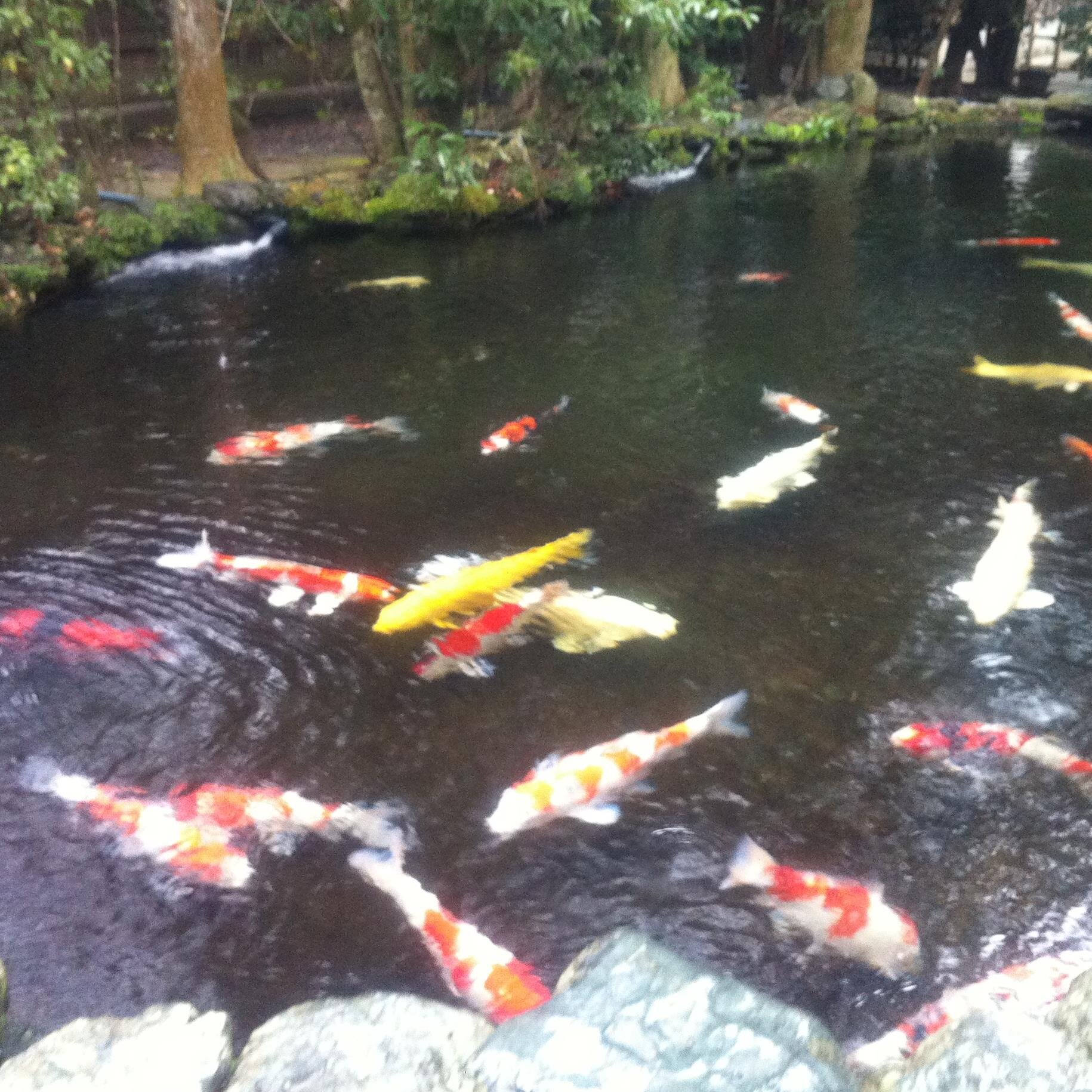 kobe_2400's profile picture. 