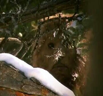 _Big_Feet_'s profile picture. hwoop