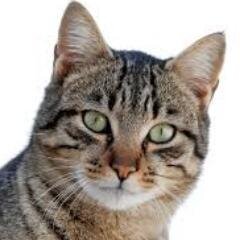 creek_lorem's profile picture. Software engineer.
#민수련