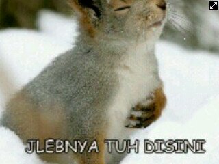 aku sayang kamu, tapi kamu sayang dia :'(
