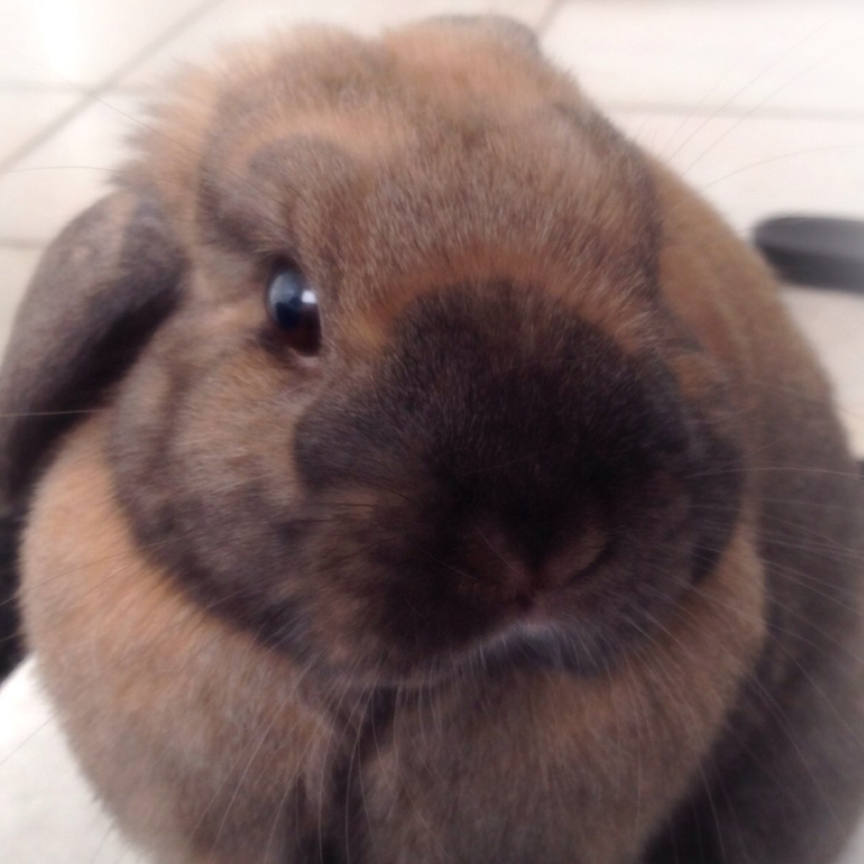 Quick4711's profile picture. 