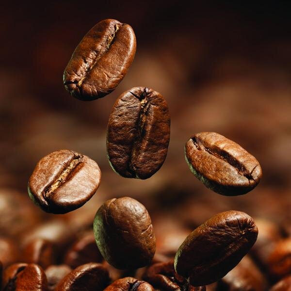 javafoundation's profile picture. JAVA Foundation adalah lembaga nirlaba yang berbasis pada permberdayaan dua komoditas perkebunan Indonesia yaitu kopi dan teh.