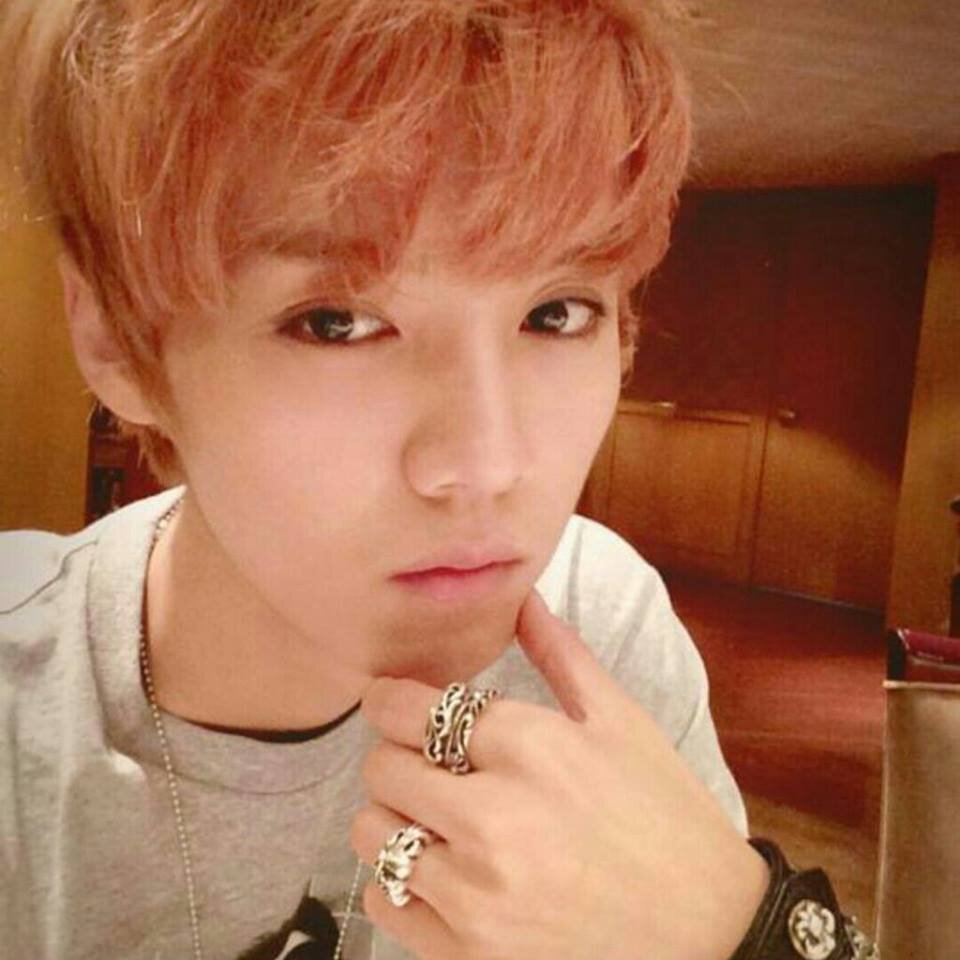 Wattpad Character | My Pervert Fiance | Pretend We Never Loved | My Pervert Fiance 2 | Gwapo | Mabait | Single Ready To Mingle | Gwapo | Gwapo | Gwapo | Gwapo |