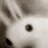 z1bra's profile image