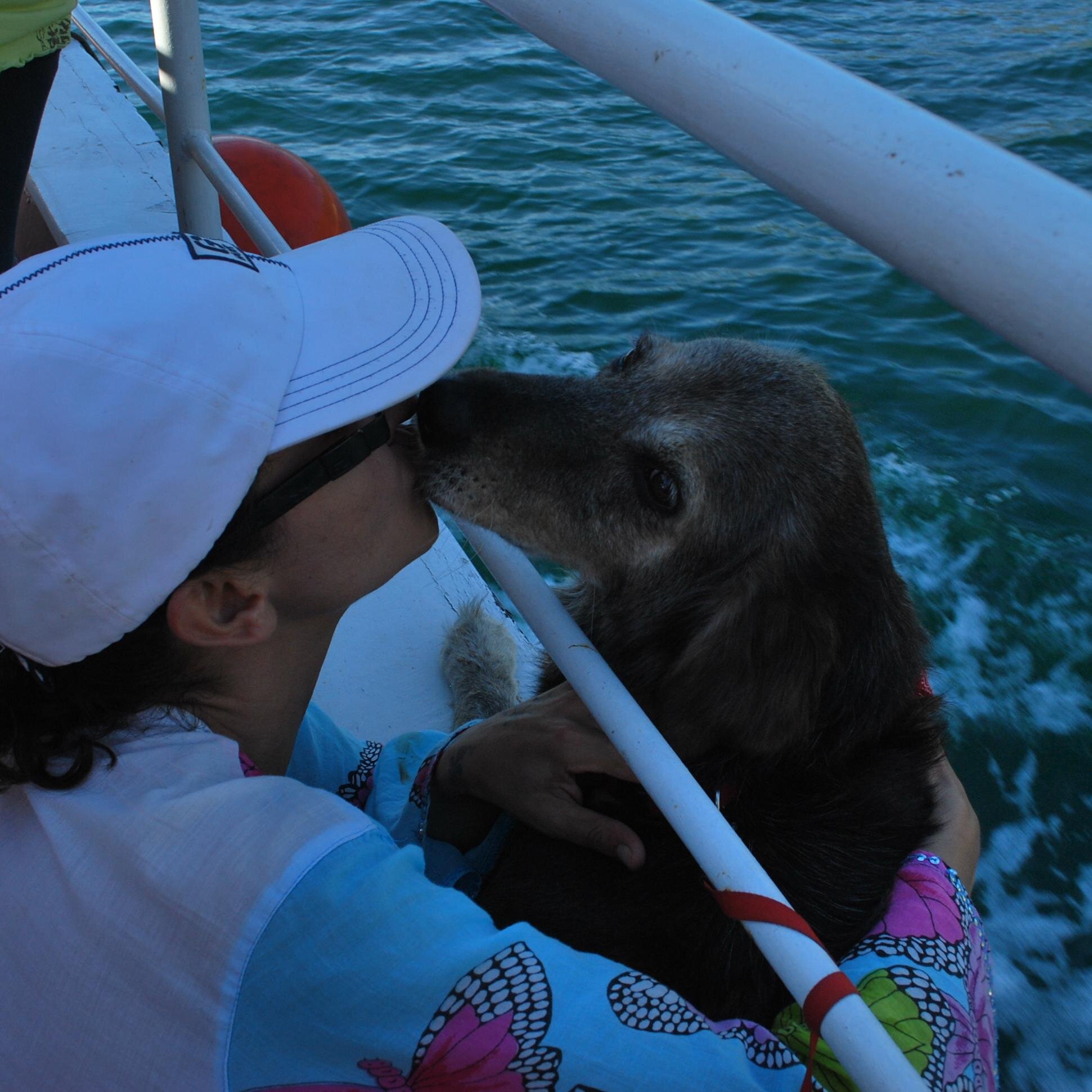 cecanan's profile picture. 