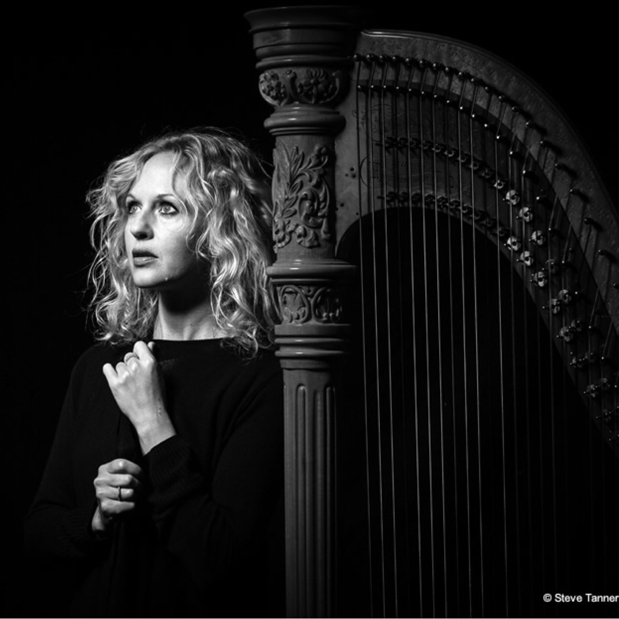 Harpist - concert, bray, wire, lever. Musician & Recording artist with FitkinWall, Will Gregory, Goldfrapp, Fitkin, Adrian Utley, Kathryn Tickell & the Side