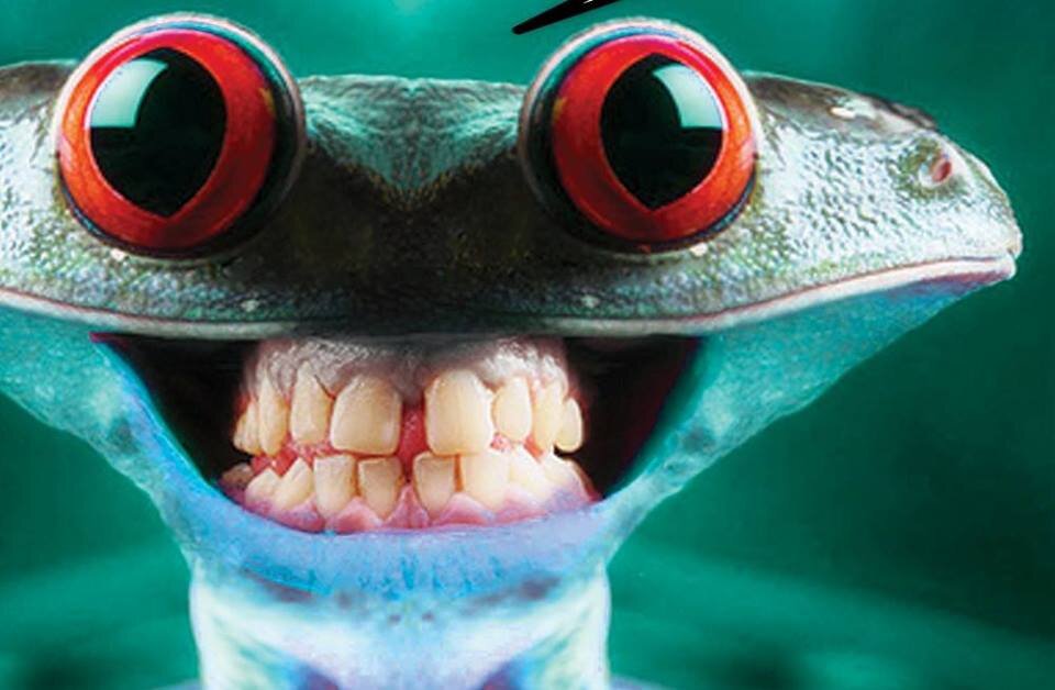 Evolve_Clubbing's profile picture. Join the Re:volution, Viva La E:Volve