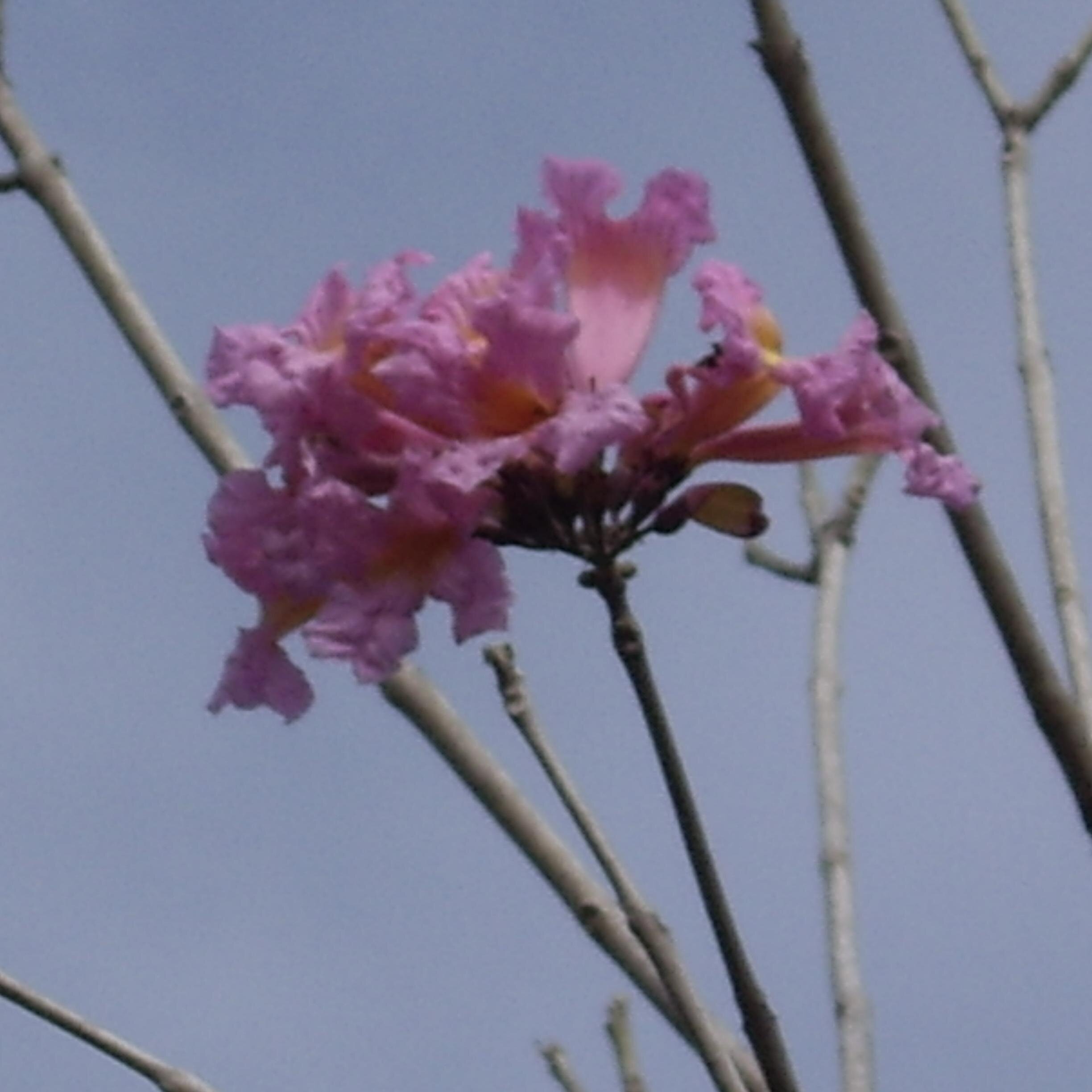 3k5711438's profile picture. 時候快到了
趕緊
準備做工的物件卡要緊啦