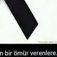 Kaan Işıldar (@kaanildar) 's Twitter Profile