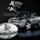 Leon Alston - @LeonSharkie1 - Twitter