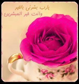 amz7457's profile picture. ‏‏ماجستير إدارة وتخطيط
مدرب معتمد . ومحبه للعمل التطوعي .