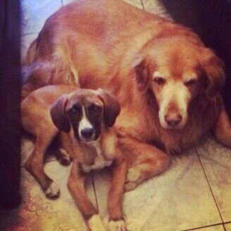 mefal's profile picture. 100% amante de este bello pais