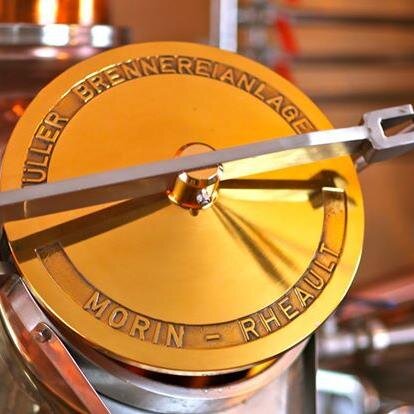 mmrheault's profile picture. 