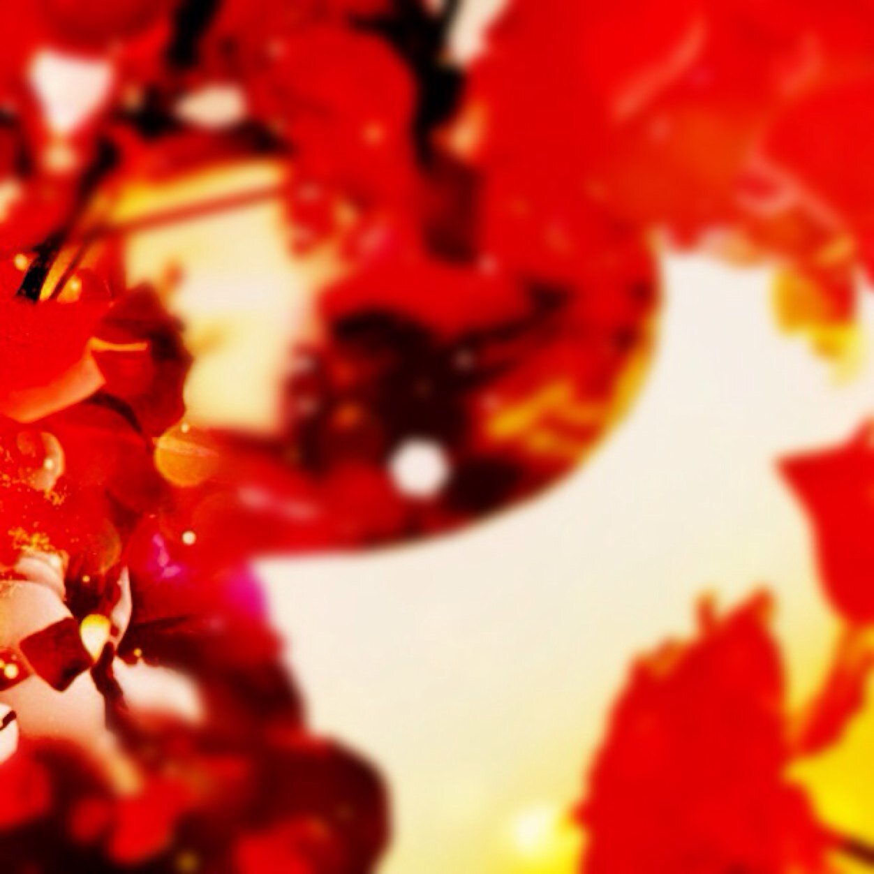 s_kisa's profile picture. I work as designer in game production company. I’m studying English. I'd like to be friends with people studying Japanese！